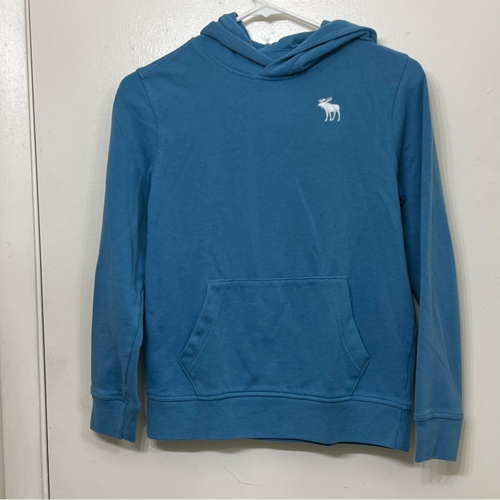 Abercrombie Kids Blue Hoodie Size 11/12